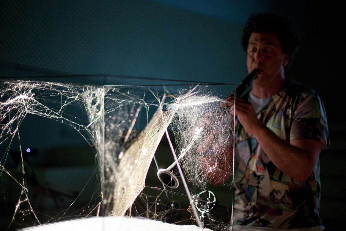 Performance von David Rothenberg mit einer Spinne