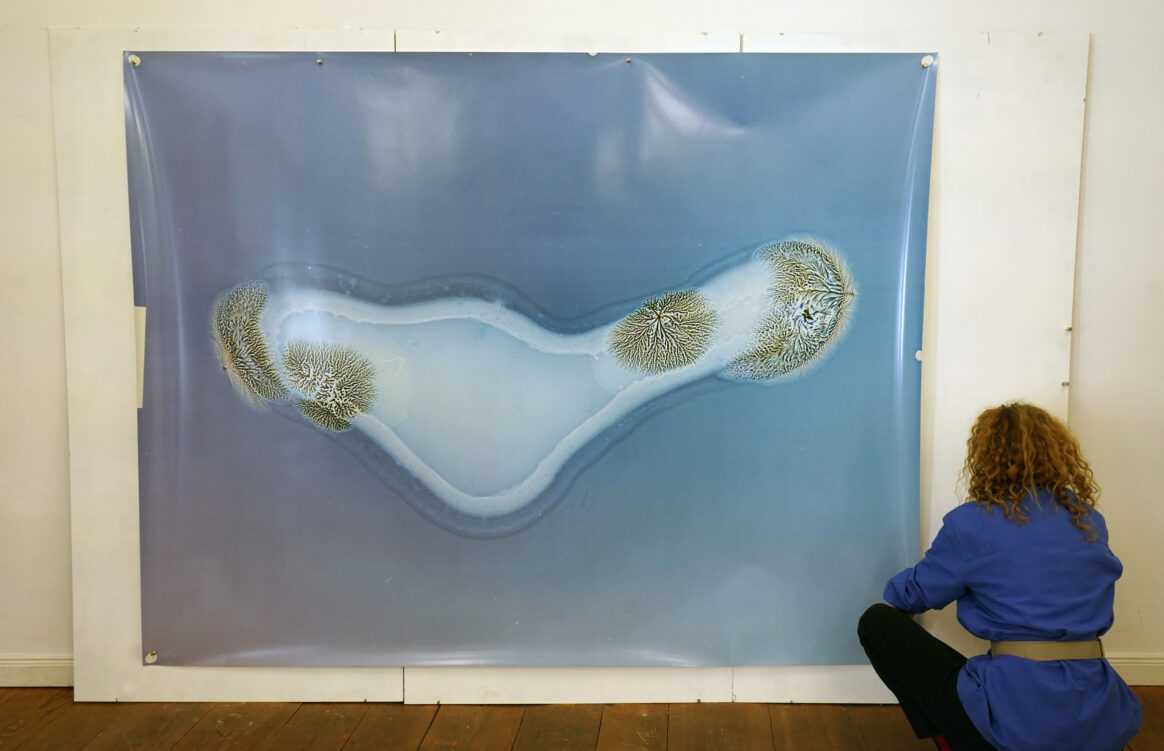 Workshop at KW Institute for Contemporary Art, Berlin, on May 31, 2024 for the upcoming exhibition “Labor Lab” by Sarah Ancelle Schönfeld in the Project Space of the Schering Stiftung 2024, Berlin