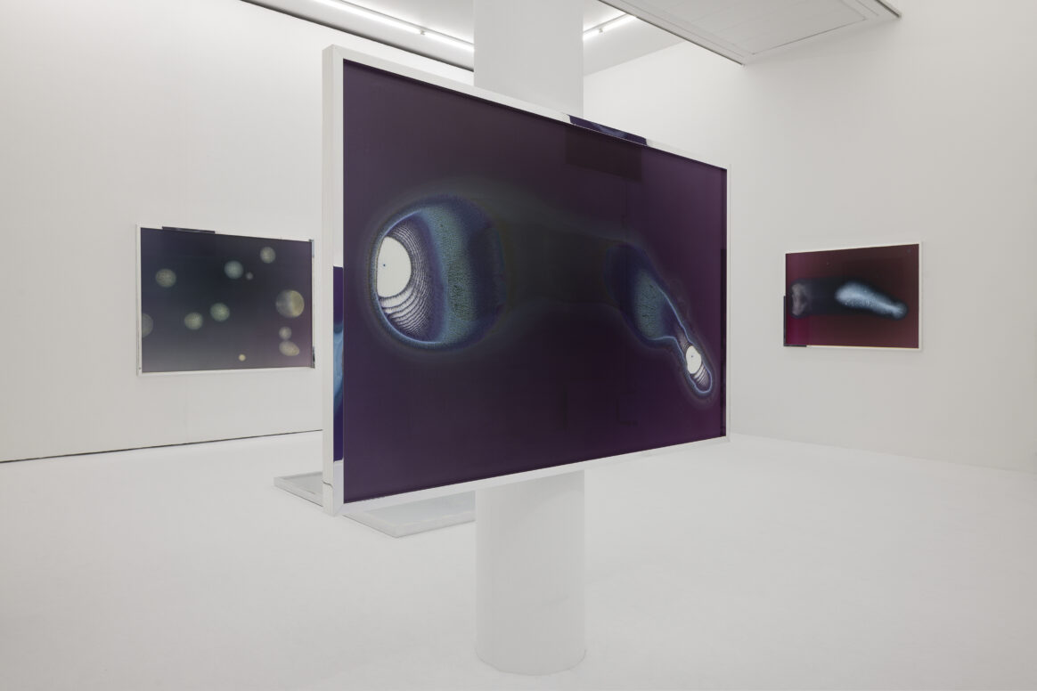 Installationsansichten der Ausstellung 