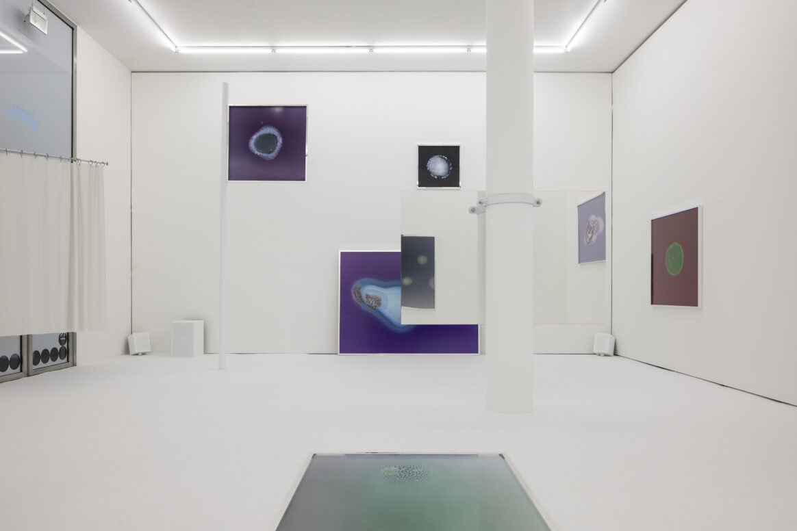 Installationsansichten der Ausstellung 