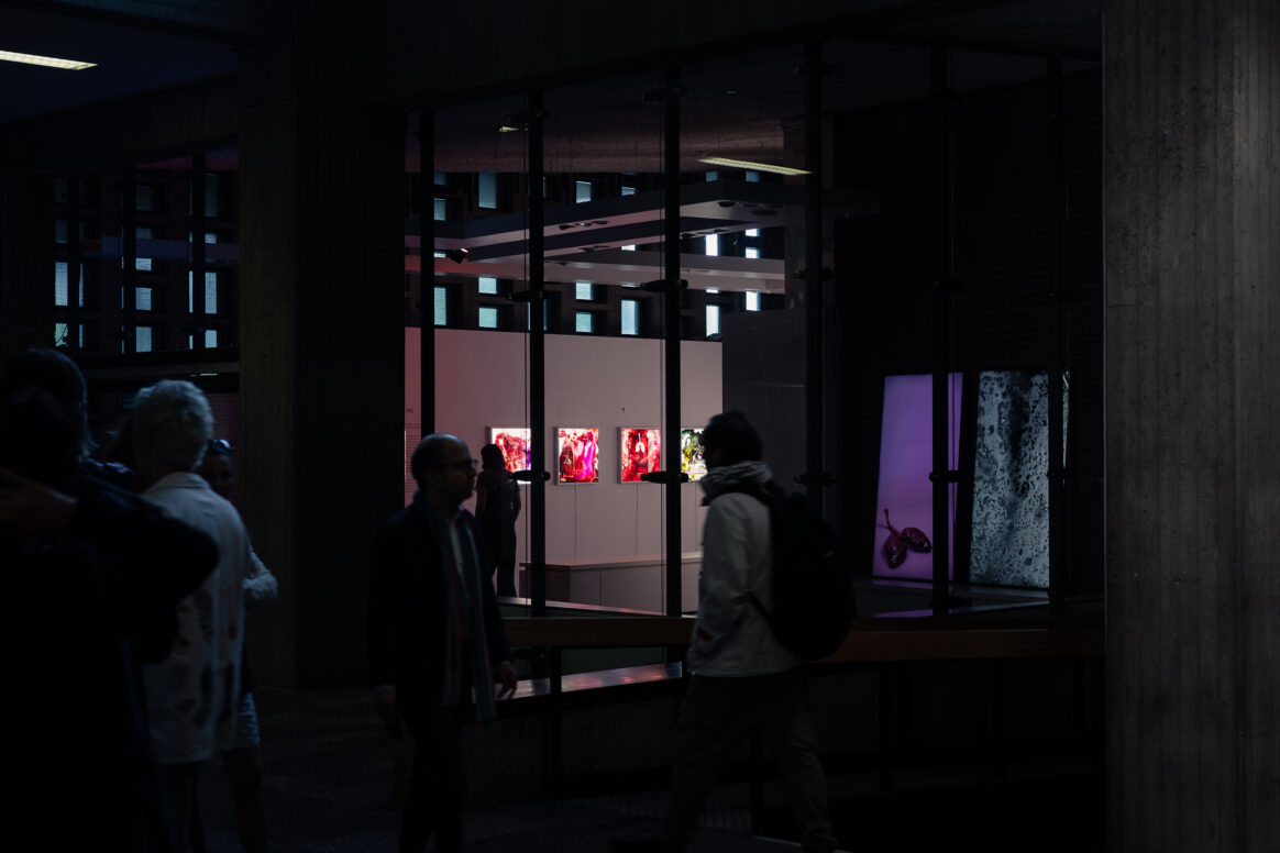 Exhibition opening