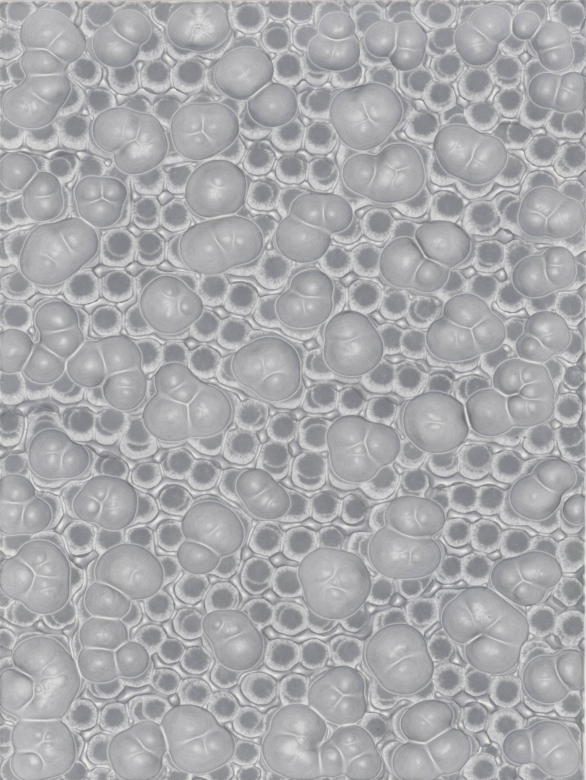 Nora Schattauer, „SilberMittel 7“, 2011, Silbernitrat, Natriumchlorid und Ammoniumchlorid auf Chromatografiepapier, 40 x 29,8 cm © VG Bild-Kunst, Bonn 2026