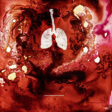 Detail Lung Portraits
