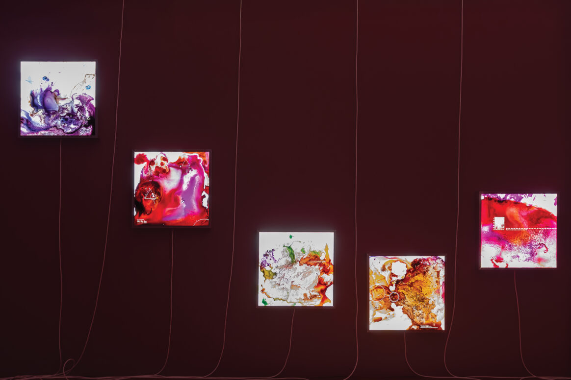 Installation views of the exhibition "The Red Queen Effect" at the project room of the Schering Stiftung, Berlin